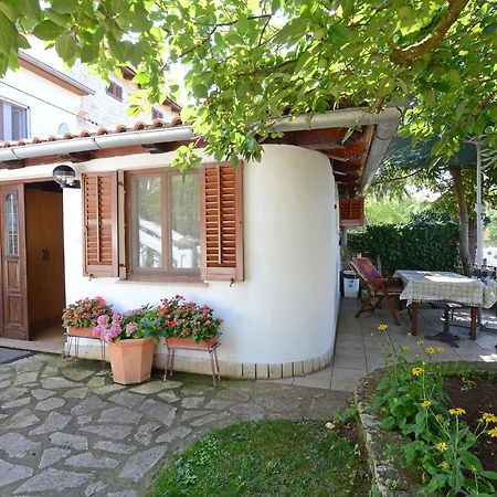 Apartment Amedea Kanfanar Exterior foto